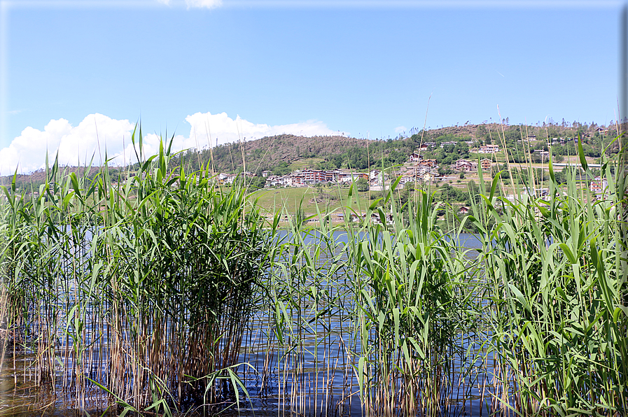 foto Lago della Serraia